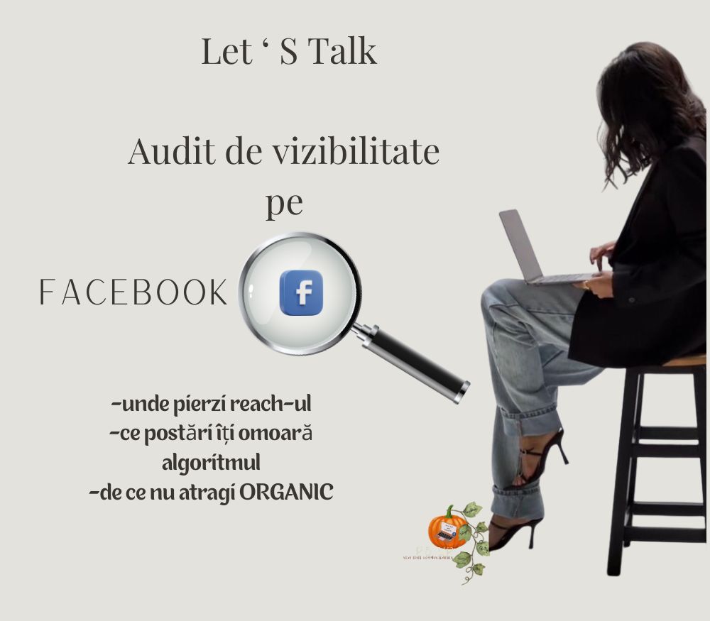 Audit de vizibilitate